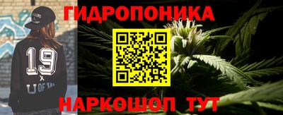 гашик Обнинск