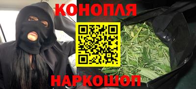 прущие грибы Нягань