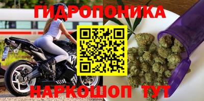 гашиш Обь