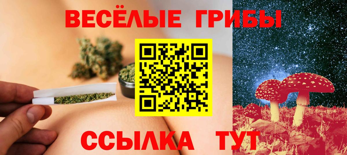Славгород  Псилоцибиновые грибы Psilocybe  Вход с VPN  Псилоцибиновые грибы мухоморы 